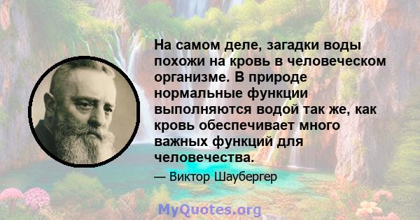 На самом деле, загадки воды похожи на кровь в человеческом организме. В природе нормальные функции выполняются водой так же, как кровь обеспечивает много важных функций для человечества.