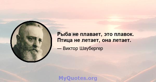 Рыба не плавает, это плавок. Птица не летает, она летает.