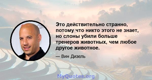 Это действительно странно, потому что никто этого не знает, но слоны убили больше тренеров животных, чем любое другое животное.