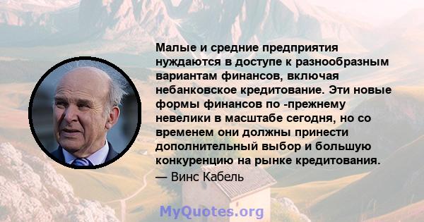 Малые и средние предприятия нуждаются в доступе к разнообразным вариантам финансов, включая небанковское кредитование. Эти новые формы финансов по -прежнему невелики в масштабе сегодня, но со временем они должны