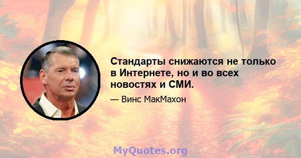 Стандарты снижаются не только в Интернете, но и во всех новостях и СМИ.