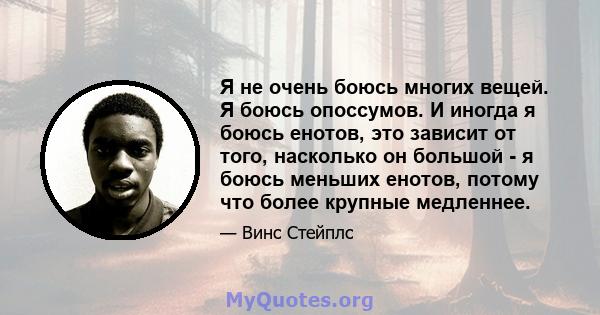 Я не очень боюсь многих вещей. Я боюсь опоссумов. И иногда я боюсь енотов, это зависит от того, насколько он большой - я боюсь меньших енотов, потому что более крупные медленнее.