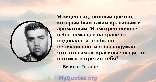 Я видел сад, полный цветов, который был таким красивым и ароматным. Я смотрел ночное небо, лежащее на траве от водопада, и это было великолепно, и я бы подумал, что это самые красивые вещи, но потом я встретил тебя!