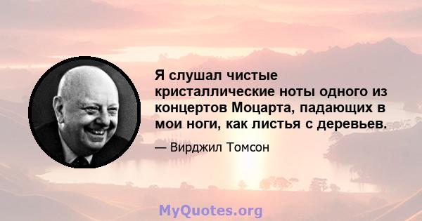 Я слушал чистые кристаллические ноты одного из концертов Моцарта, падающих в мои ноги, как листья с деревьев.