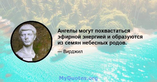 Ангелы могут похвастаться эфирной энергией и образуются из семян небесных родов.