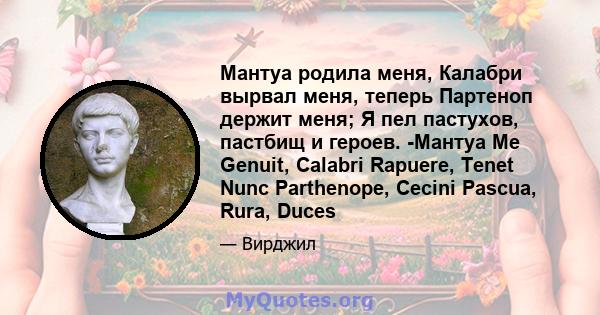 Мантуа родила меня, Калабри вырвал меня, теперь Партеноп держит меня; Я пел пастухов, пастбищ и героев. -Мантуа Me Genuit, Calabri Rapuere, Tenet Nunc Parthenope, Cecini Pascua, Rura, Duces