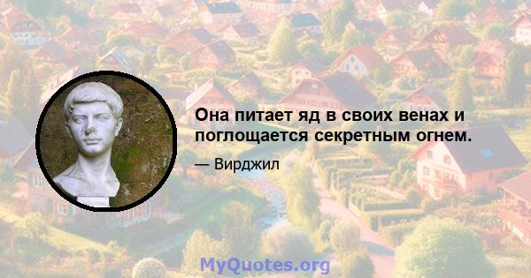 Она питает яд в своих венах и поглощается секретным огнем.