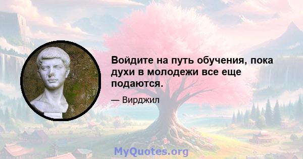 Войдите на путь обучения, пока духи в молодежи все еще подаются.