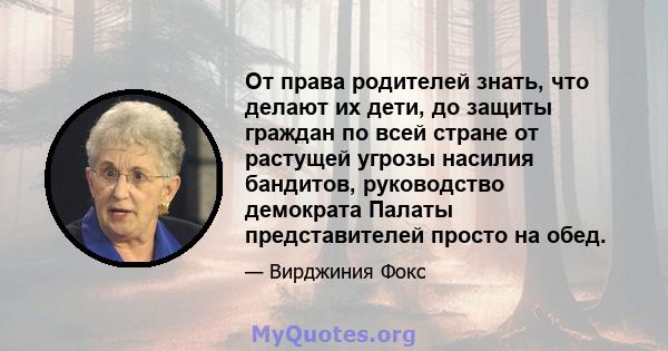 От права родителей знать, что делают их дети, до защиты граждан по всей стране от растущей угрозы насилия бандитов, руководство демократа Палаты представителей просто на обед.