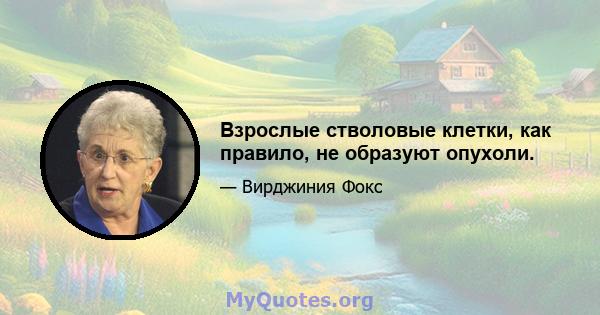 Взрослые стволовые клетки, как правило, не образуют опухоли.