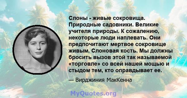 Слоны - живые сокровища. Природные садовники. Великие учителя природы. К сожалению, некоторые люди наплевать. Они предпочитают мертвое сокровище живым. Слоновая кость. Мы должны бросить вызов этой так называемой