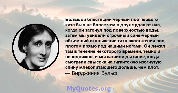 Большой блестящий черный лоб первого кита был не более чем в двух ярдах от нас, когда он затонул под поверхностью воды, затем мы увидели огромный сине-черный объемный скольжение тихо скольжения под плотом прямо под