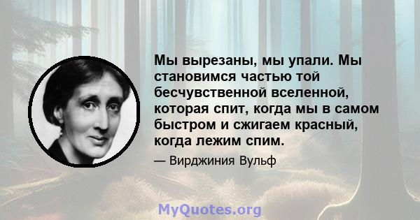 Мы вырезаны, мы упали. Мы становимся частью той бесчувственной вселенной, которая спит, когда мы в самом быстром и сжигаем красный, когда лежим спим.