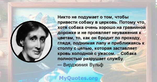 Никто не подумает о том, чтобы привести собаку в церковь. Потому что, хотя собака очень хорошо на гравийной дорожке и не проявляет неуважения к цветам, то, как он бродит по проходу, глядя, поднимая лапу и приближаясь к