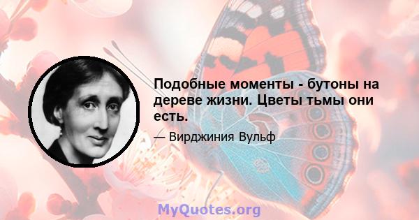 Подобные моменты - бутоны на дереве жизни. Цветы тьмы они есть.