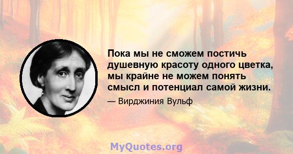 Пока мы не сможем постичь душевную красоту одного цветка, мы крайне не можем понять смысл и потенциал самой жизни.