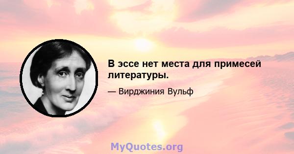 В эссе нет места для примесей литературы.