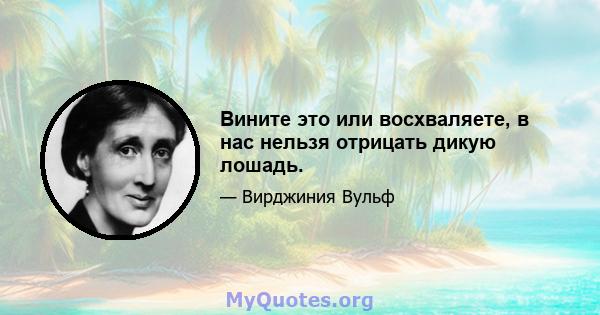 Вините это или восхваляете, в нас нельзя отрицать дикую лошадь.