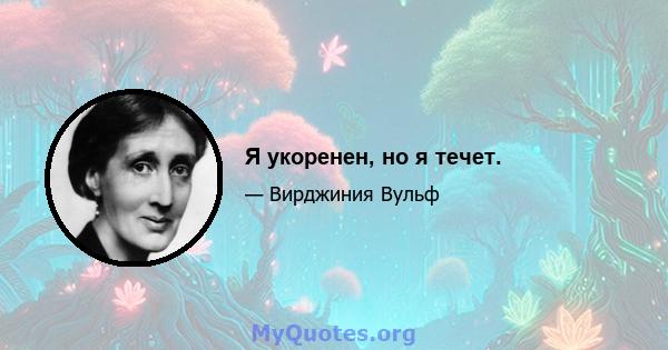 Я укоренен, но я течет.