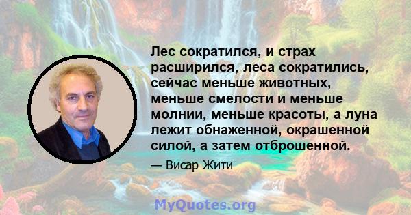 Лес сократился, и страх расширился, леса сократились, сейчас меньше животных, меньше смелости и меньше молнии, меньше красоты, а луна лежит обнаженной, окрашенной силой, а затем отброшенной.