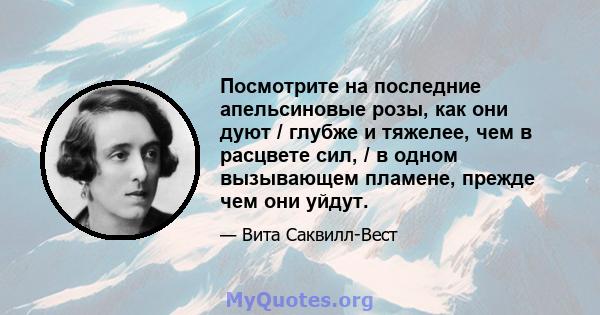 Посмотрите на последние апельсиновые розы, как они дуют / глубже и тяжелее, чем в расцвете сил, / в одном вызывающем пламене, прежде чем они уйдут.