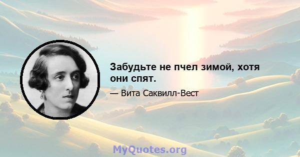 Забудьте не пчел зимой, хотя они спят.