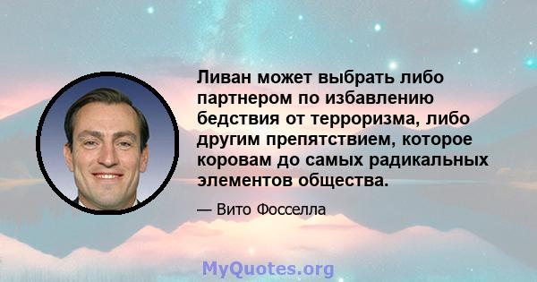 Ливан может выбрать либо партнером по избавлению бедствия от терроризма, либо другим препятствием, которое коровам до самых радикальных элементов общества.