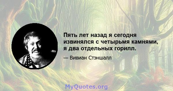 Пять лет назад я сегодня извинялся с четырьмя камнями, я два отдельных горилл.