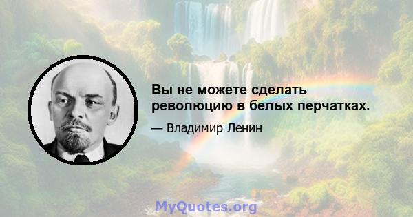 Вы не можете сделать революцию в белых перчатках.