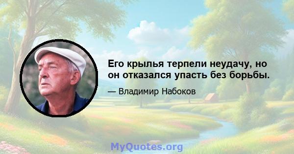 Его крылья терпели неудачу, но он отказался упасть без борьбы.