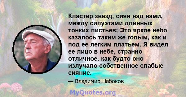 Кластер звезд, сияя над нами, между силуэтами длинных тонких листьев; Это яркое небо казалось таким же голым, как и под ее легким платьем. Я видел ее лицо в небе, странно отличное, как будто оно излучало собственное