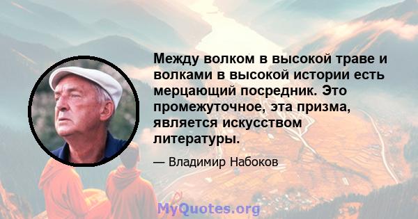 Между волком в высокой траве и волками в высокой истории есть мерцающий посредник. Это промежуточное, эта призма, является искусством литературы.