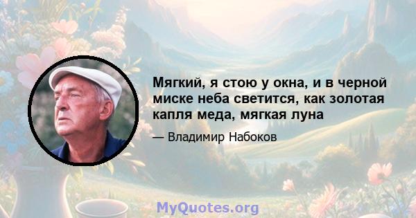 Мягкий, я стою у окна, и в черной миске неба светится, как золотая капля меда, мягкая луна