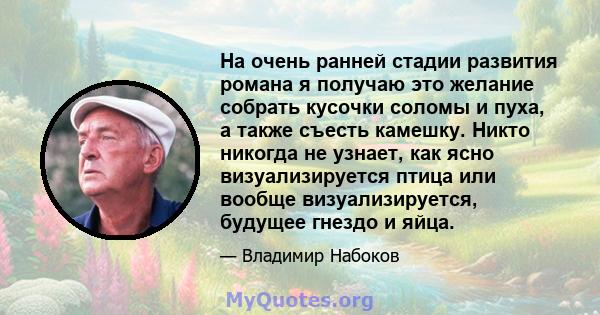 На очень ранней стадии развития романа я получаю это желание собрать кусочки соломы и пуха, а также съесть камешку. Никто никогда не узнает, как ясно визуализируется птица или вообще визуализируется, будущее гнездо и