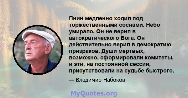 Пнин медленно ходил под торжественными соснами. Небо умирало. Он не верил в автократического Бога. Он действительно верил в демократию призраков. Души мертвых, возможно, сформировали комитеты, и эти, на постоянной