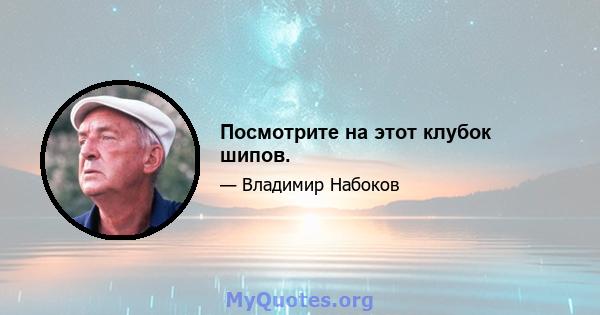 Посмотрите на этот клубок шипов.