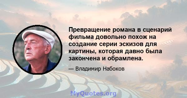 Превращение романа в сценарий фильма довольно похож на создание серии эскизов для картины, которая давно была закончена и обрамлена.