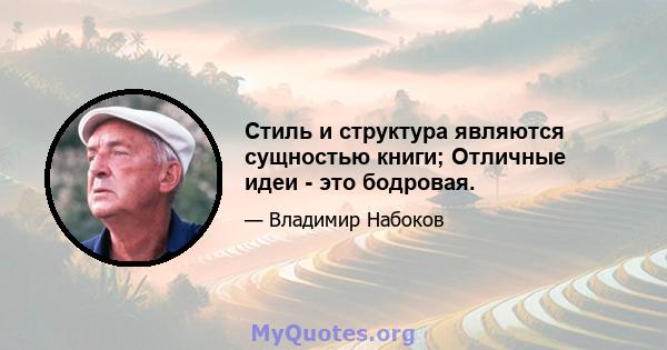 Стиль и структура являются сущностью книги; Отличные идеи - это бодровая.