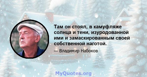 Там он стоял, в камуфляже солнца и тени, изуродованной ими и замаскированным своей собственной наготой.