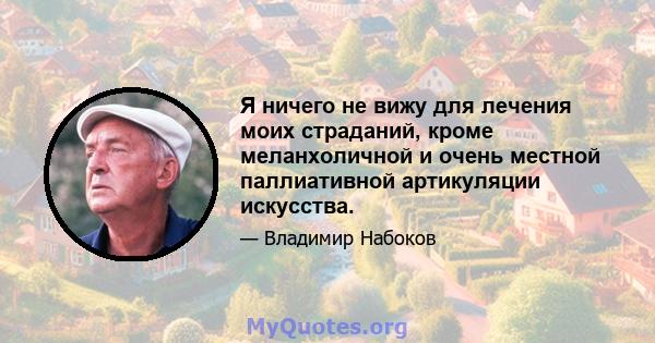 Я ничего не вижу для лечения моих страданий, кроме меланхоличной и очень местной паллиативной артикуляции искусства.