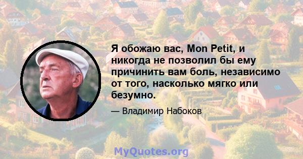 Я обожаю вас, Mon Petit, и никогда не позволил бы ему причинить вам боль, независимо от того, насколько мягко или безумно.