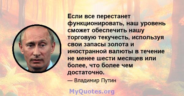 Если все перестанет функционировать, наш уровень сможет обеспечить нашу торговую текучесть, используя свои запасы золота и иностранной валюты в течение не менее шести месяцев или более, что более чем достаточно.