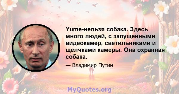 Yume-нельзя собака. Здесь много людей, с запущенными видеокамер, светильниками и щелчками камеры. Она охранная собака.