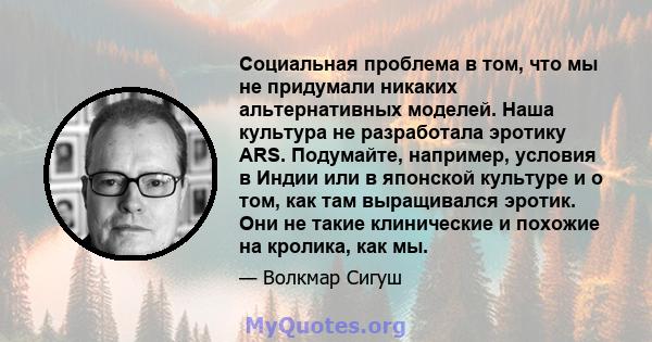 Социальная проблема в том, что мы не придумали никаких альтернативных моделей. Наша культура не разработала эротику ARS. Подумайте, например, условия в Индии или в японской культуре и о том, как там выращивался эротик.