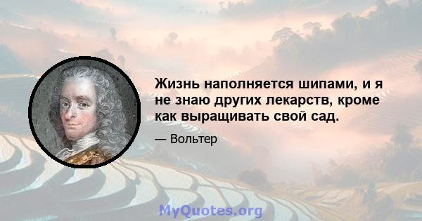 Жизнь наполняется шипами, и я не знаю других лекарств, кроме как выращивать свой сад.