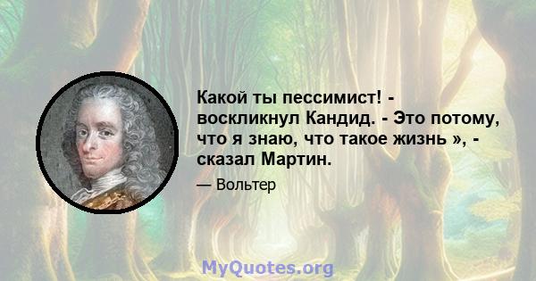 Какой ты пессимист! - воскликнул Кандид. - Это потому, что я знаю, что такое жизнь », - сказал Мартин.