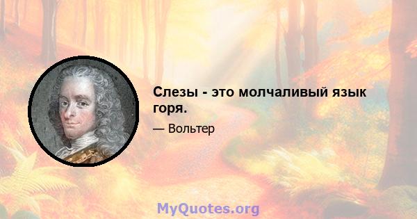 Слезы - это молчаливый язык горя.