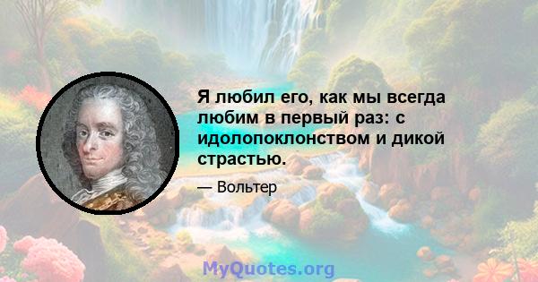 Я любил его, как мы всегда любим в первый раз: с идолопоклонством и дикой страстью.