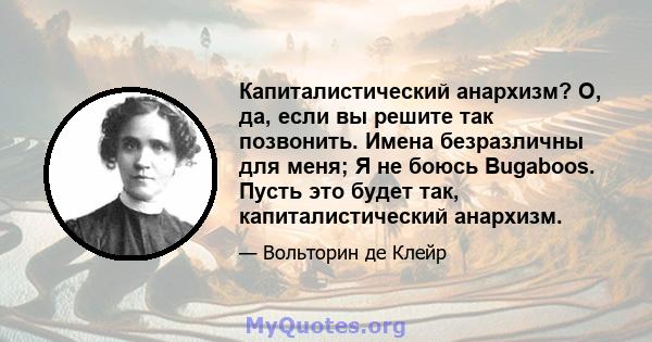 Капиталистический анархизм? О, да, если вы решите так позвонить. Имена безразличны для меня; Я не боюсь Bugaboos. Пусть это будет так, капиталистический анархизм.