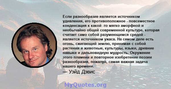 Если разнообразие является источником удивления, его противоположное - повсеместное конденсация к какой -то мягко аморфной и необычайно общей современной культуре, которая считает само собой разумеющимся средой -